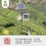 金寨翠眉新茶叶明前特级高山云雾绿茶清香型500g