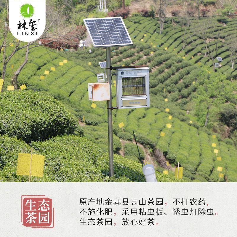 金寨翠眉新茶叶明前特级高山云雾绿茶清香型500g