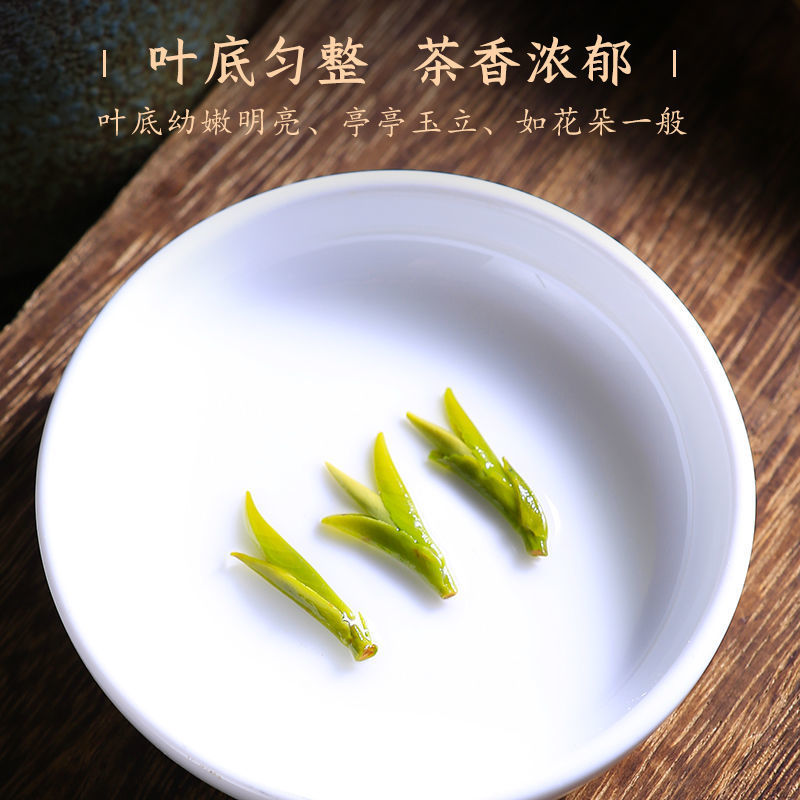 金寨翠眉新茶叶明前特级高山云雾绿茶清香型500g