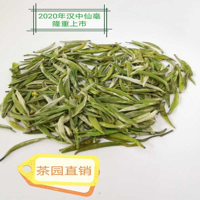 陕西名茶午子仙毫茶叶西乡午子绿茶明前包邮