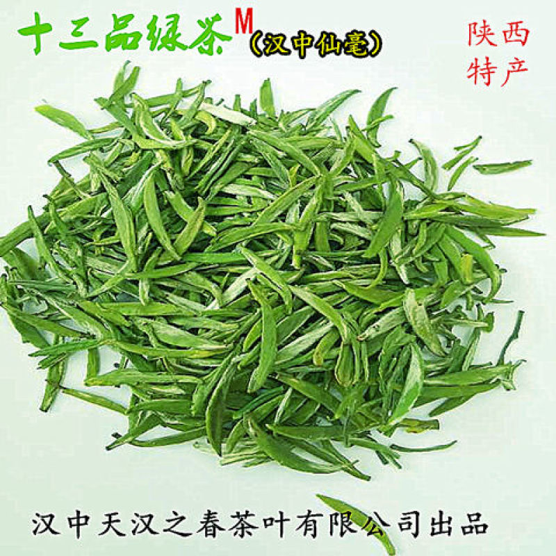 陕西名茶午子仙毫茶叶西乡午子绿茶明前包邮