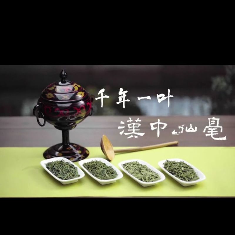 陕西名茶午子仙毫茶叶西乡午子绿茶明前包邮