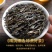 2020新茶普洱茶生茶生普云南特产勐海古树茶散装500g