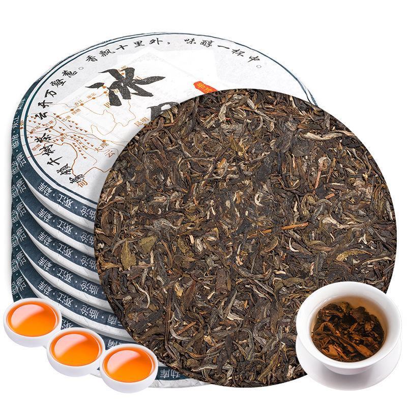 限量冰岛普洱茶生茶饼茶云南古树七子饼茶叶礼盒装全艺