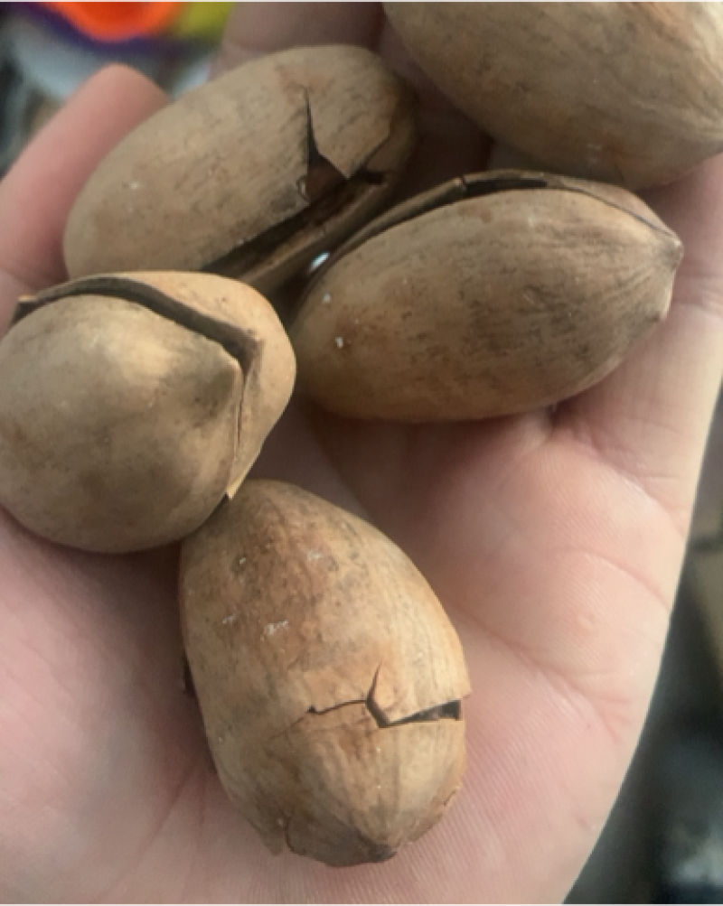 碧根果