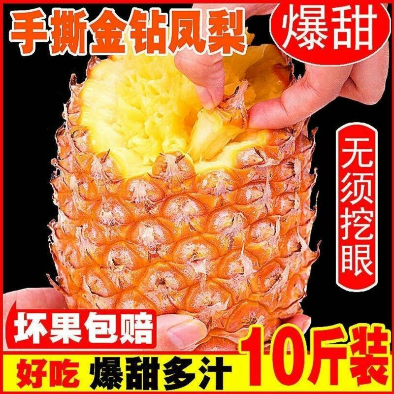 茶海虾王海南金钻凤梨10斤装新鲜应季水果现摘现发一件代发