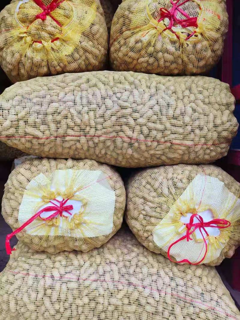 精品鲜花生，大白沙，大果鲜花生，超市，电商，市场大量供应