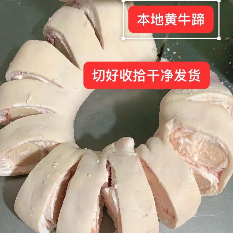 【工厂直】生黄牛牛蹄5斤8斤带骨带筋带肉新鲜牛爪子
