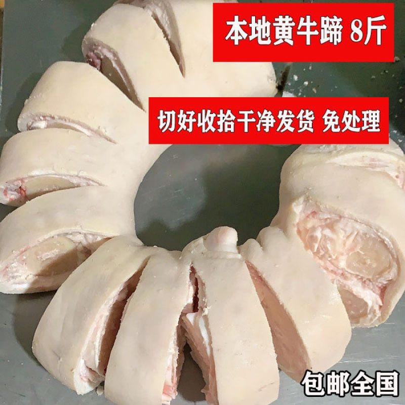 【工厂直】生黄牛牛蹄5斤8斤带骨带筋带肉新鲜牛爪子
