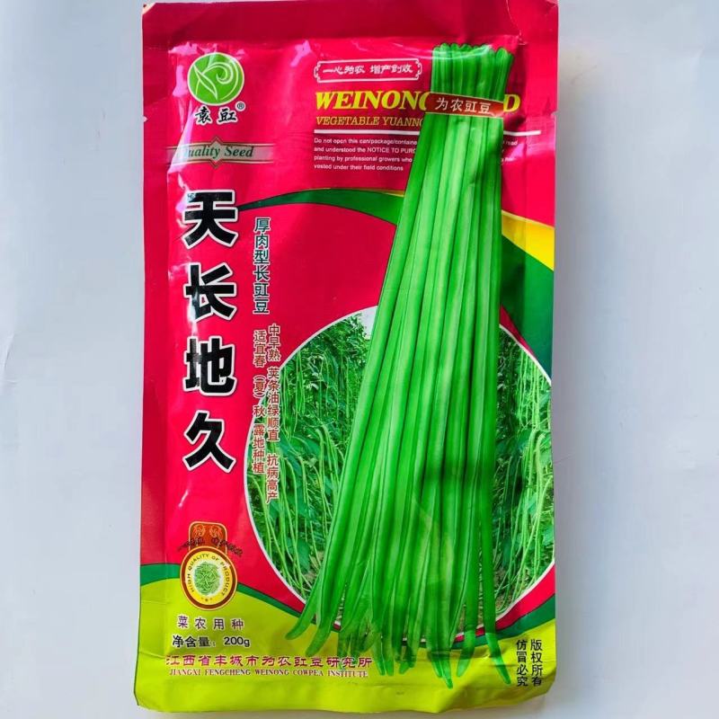 厚肉长豆角种子油绿长豇豆种子抗病高产长豆角种籽春夏秋