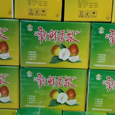 新梨七号，香梨王着