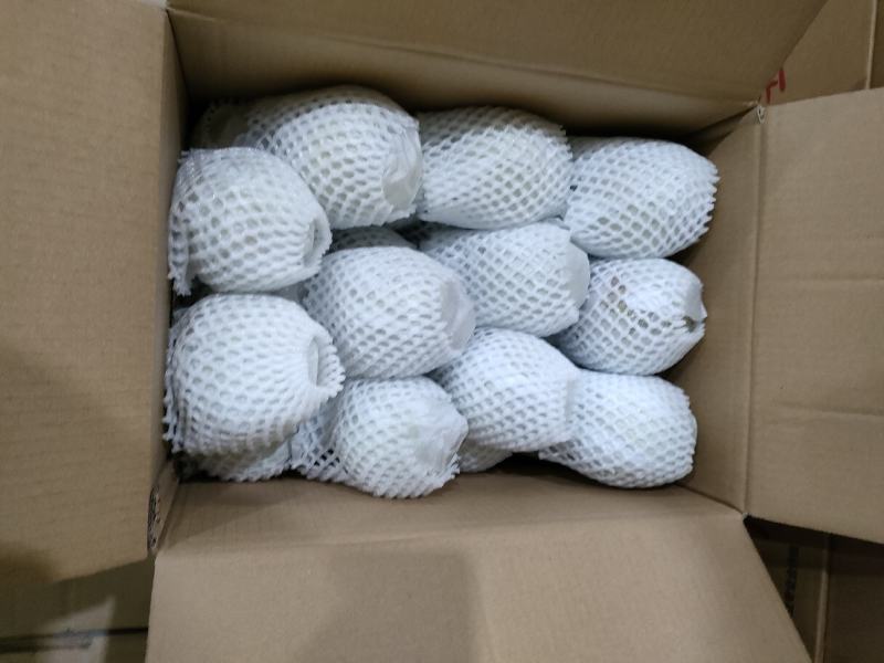 新梨七号，香梨王着