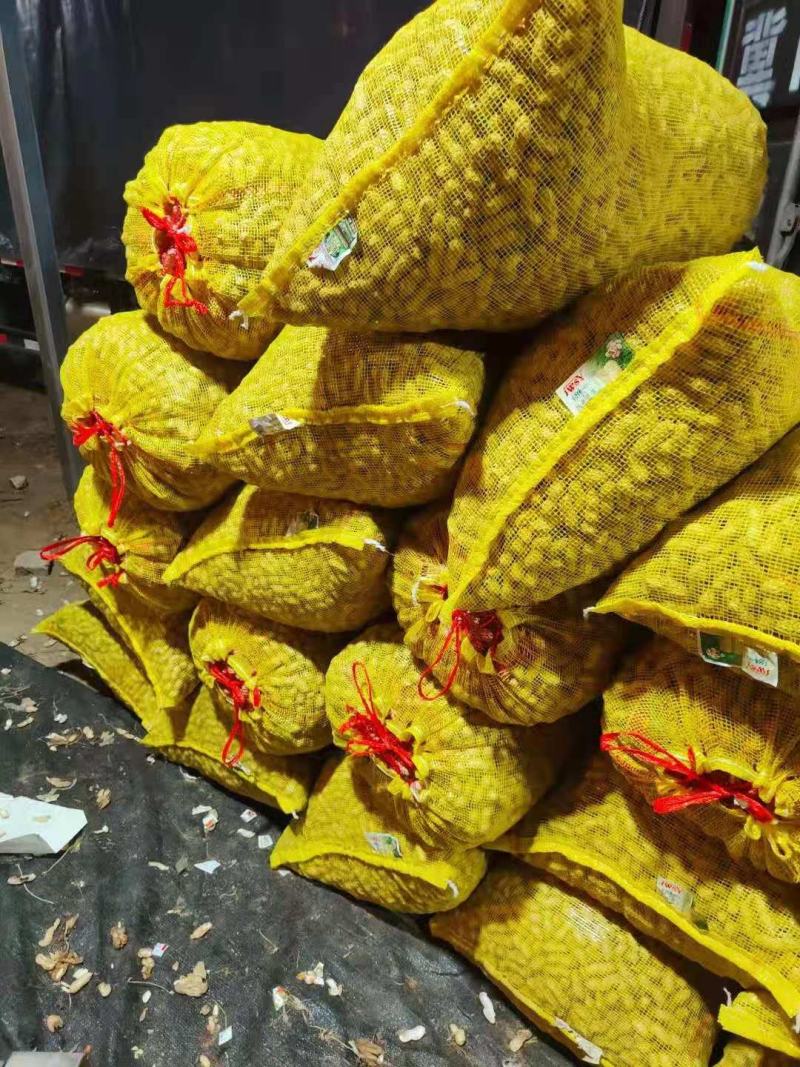 精品大果鲜花生，白沙果，籽粒饱满，超市，电商，一手货源