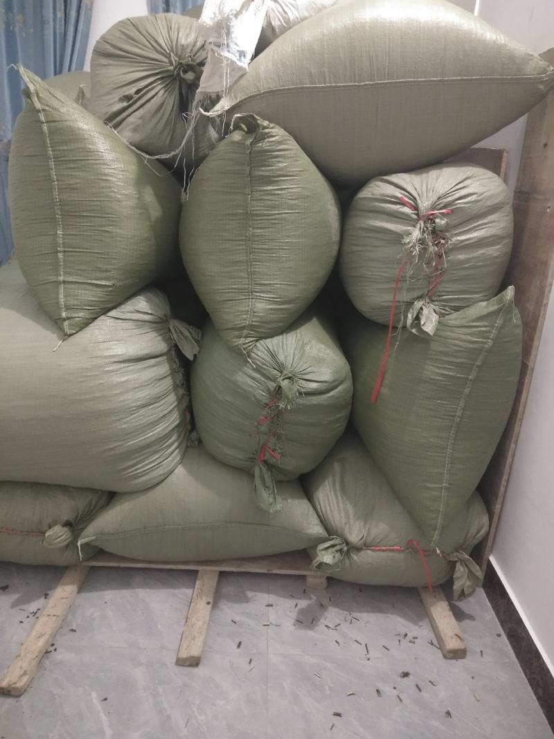 有哪位老板需要紫苏叶还有紫苏枝的
