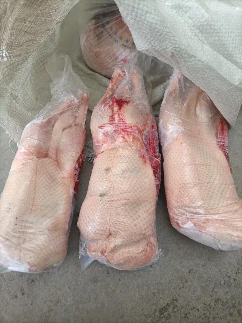 精品一级白条鸭，大量现货，规格齐全，厂家资质齐全，
