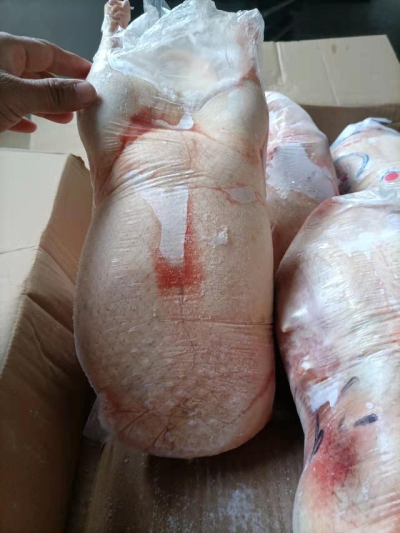 精品一级白条鸭，大量现货，规格齐全，厂家资质齐全，
