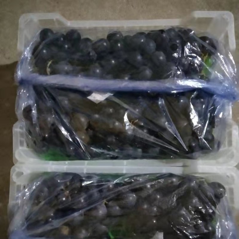 2022年大年，初一5斤白盒葡萄，今天最新播报8.0元