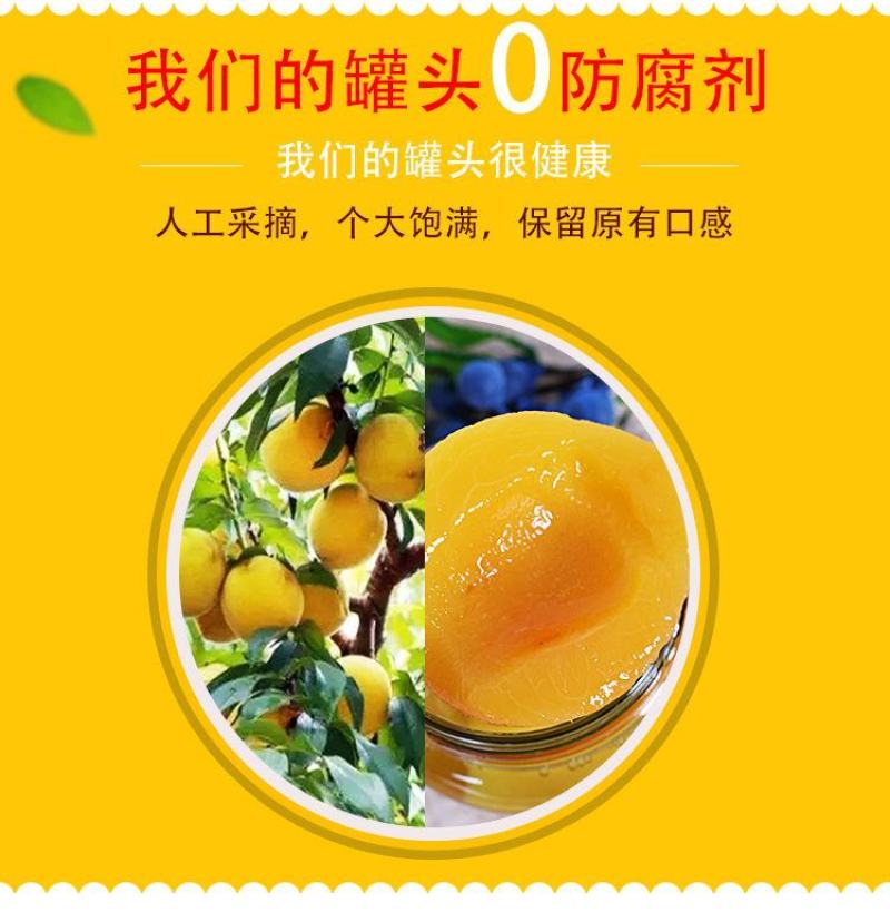新鲜黄桃罐头大瓶水果罐头水果一箱510×4瓶水果罐头包邮