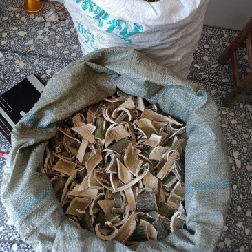 青皮梧桐皮现货现货，老表抓紧时间，随时联系我