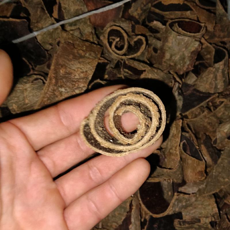 泡桐树皮，新鲜采，新鲜晒，靓货！！需要的朋友老板联系我