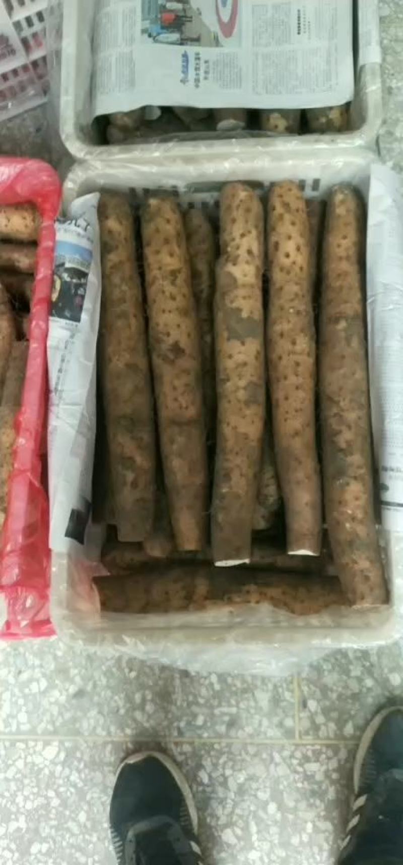平度白玉山药，粗，棉，条形直，口感好，平度山药销往全国