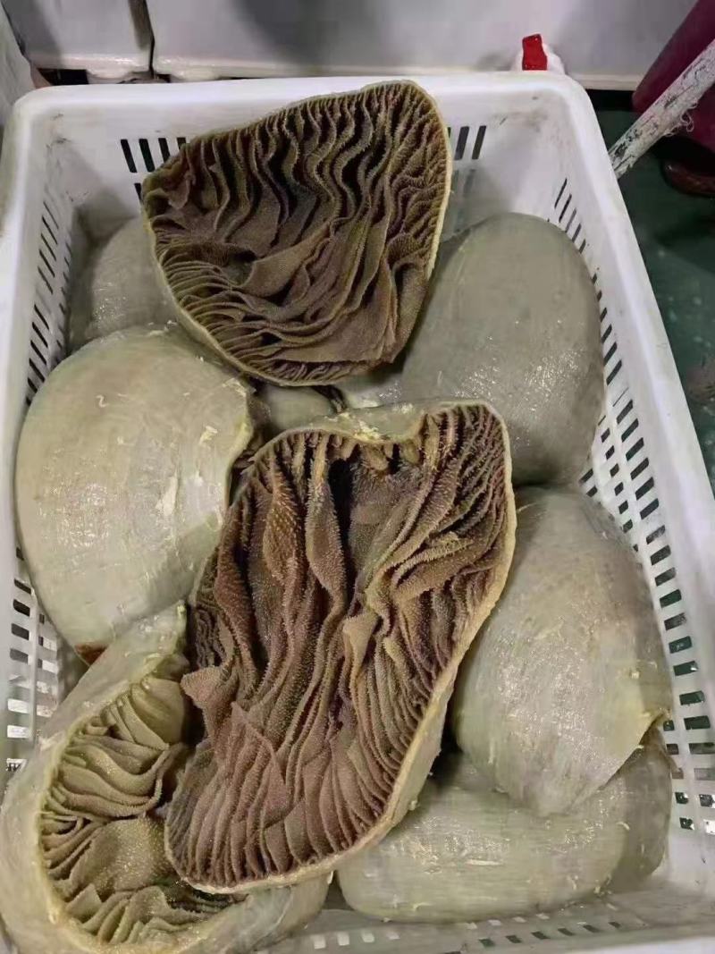 整毛肚，整肚，黑整肚，黑个子，黑千层肚丝，