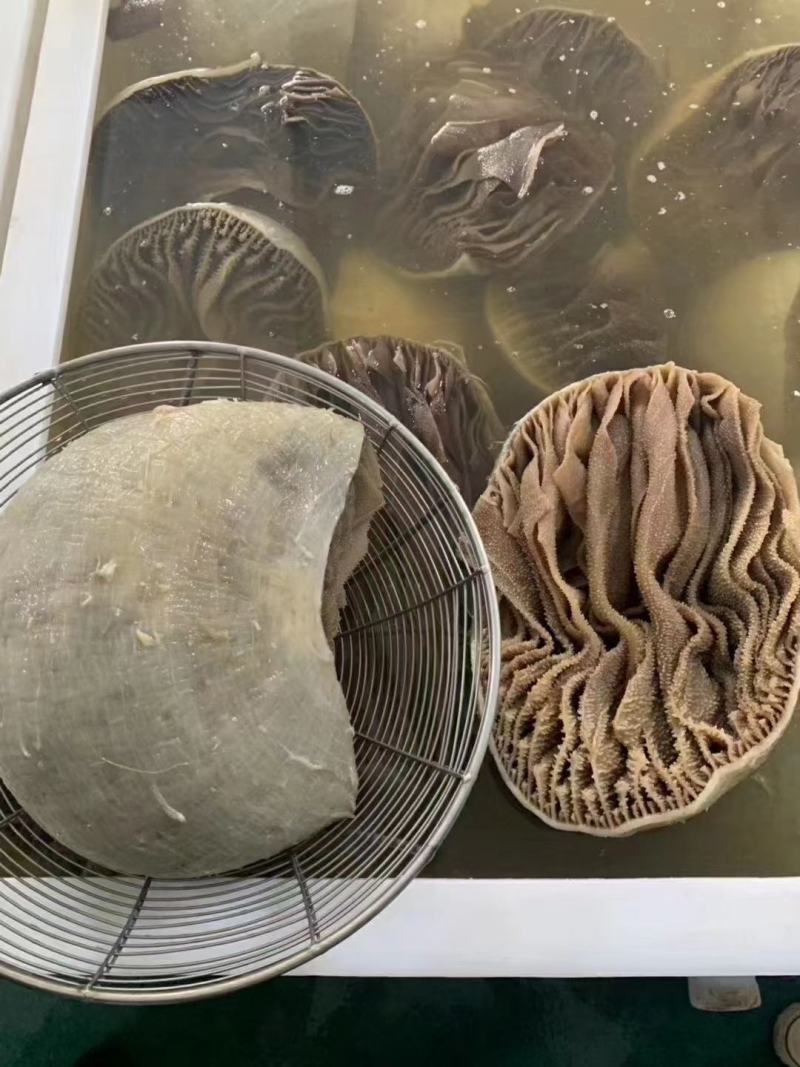 整毛肚，整肚，黑整肚，黑个子，黑千层肚丝，
