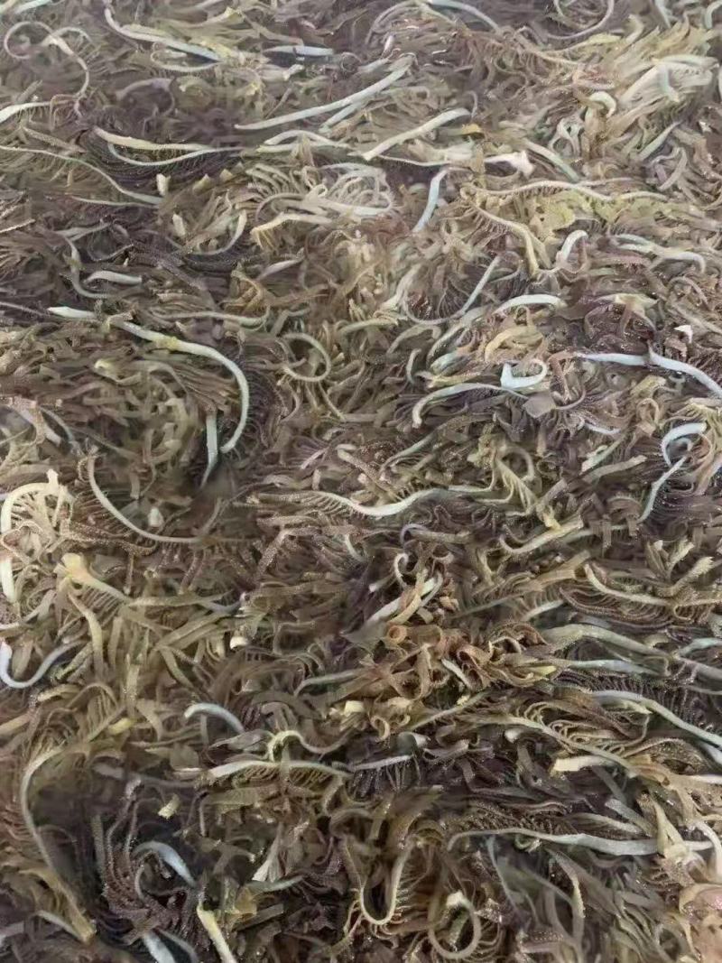 整毛肚，整肚，黑整肚，黑个子，黑千层肚丝，