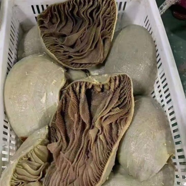 整毛肚，整肚，黑整肚，黑个子，黑千层肚丝，