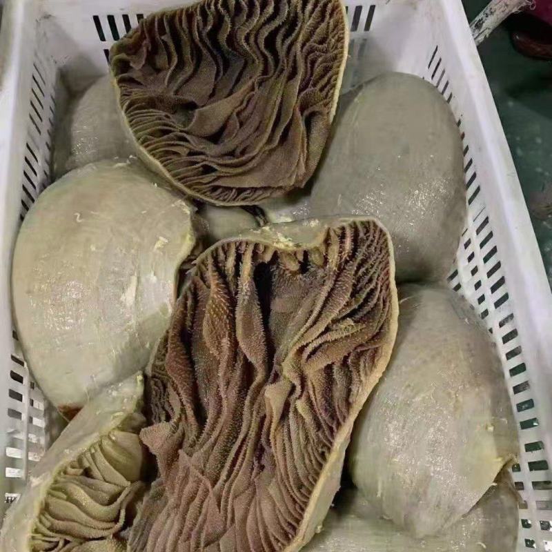 整毛肚，整肚，黑整肚，黑个子，黑千层肚丝，