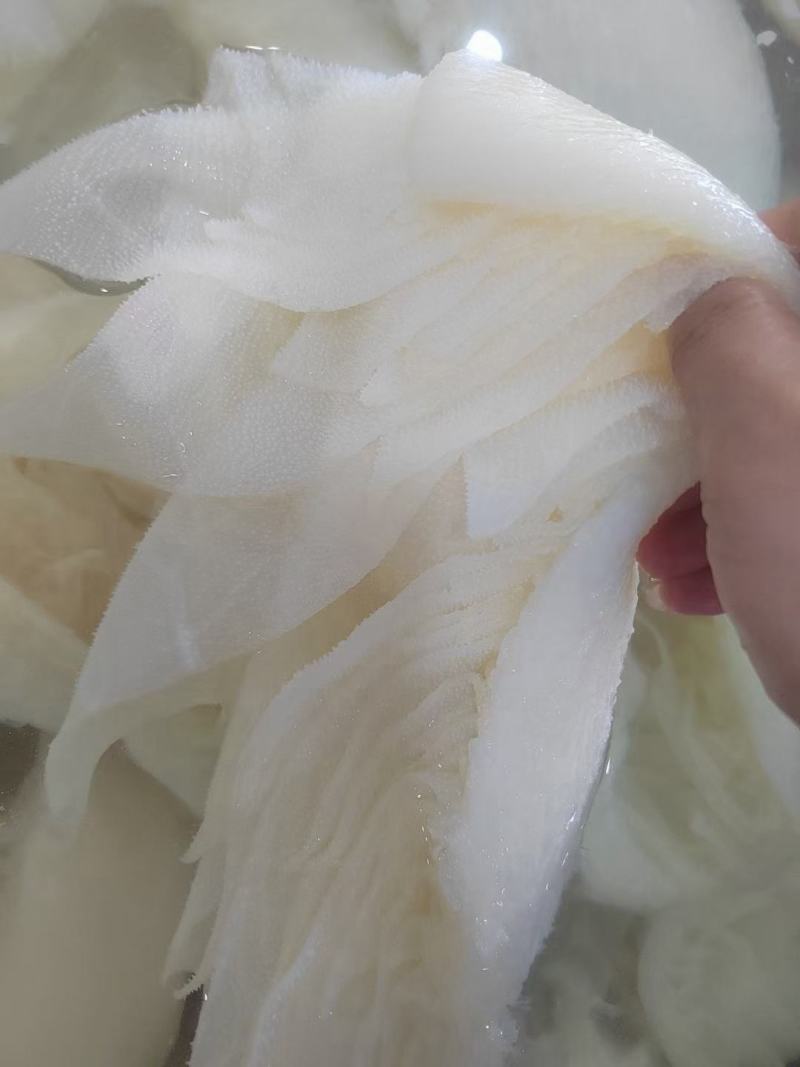 百叶，百叶丝，白整肚白千层肚丝，白底板丝