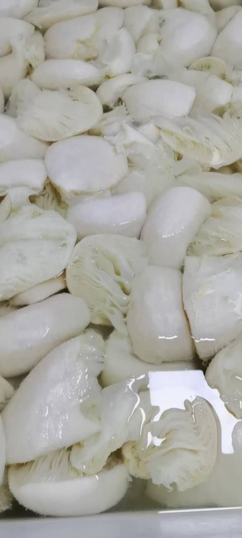 百叶，百叶丝，白整肚白千层肚丝，白底板丝