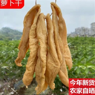 广东茂名特产农家咸萝卜干菜脯脆爽口手工腌制咸卜条下饭菜