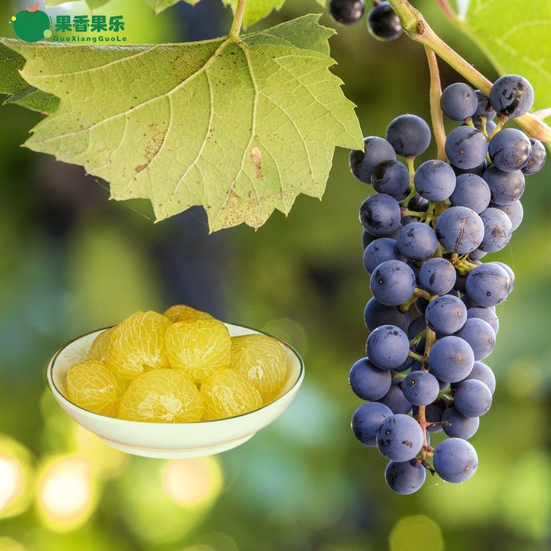 糖水去皮巨峰葡萄罐头248gx6瓶玻璃瓶装新鲜水果罐头