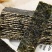 芝麻海苔夹心脆海苔脆夹心海苔罐装网红同款办公室零食包邮