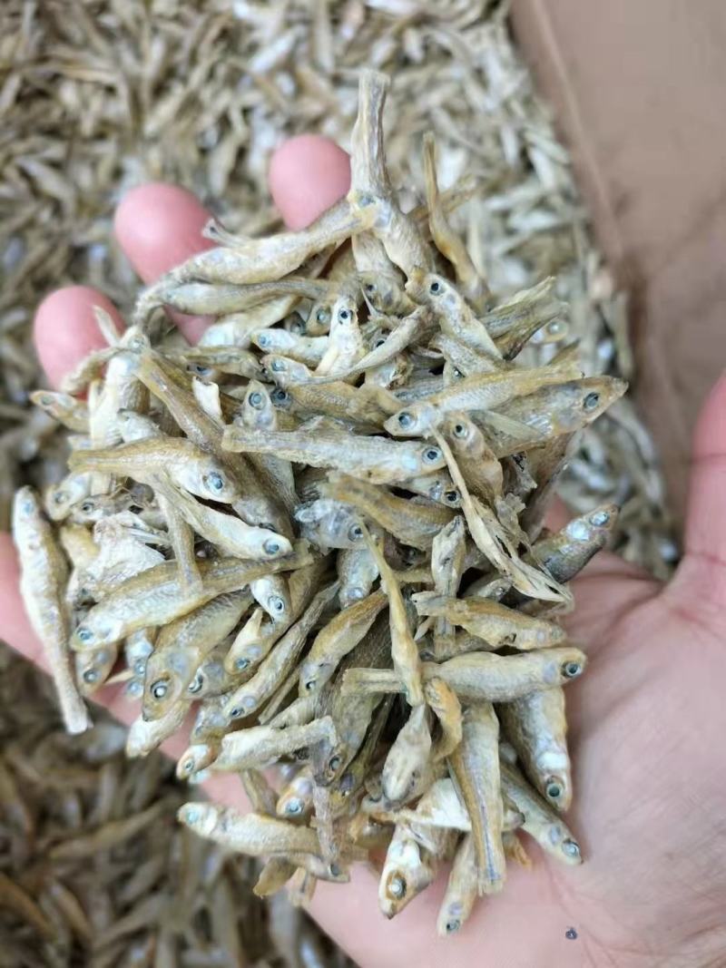 鱼干麦穗鱼干批发小鱼干小鱼仔东北水煮麦穗鱼干厂家