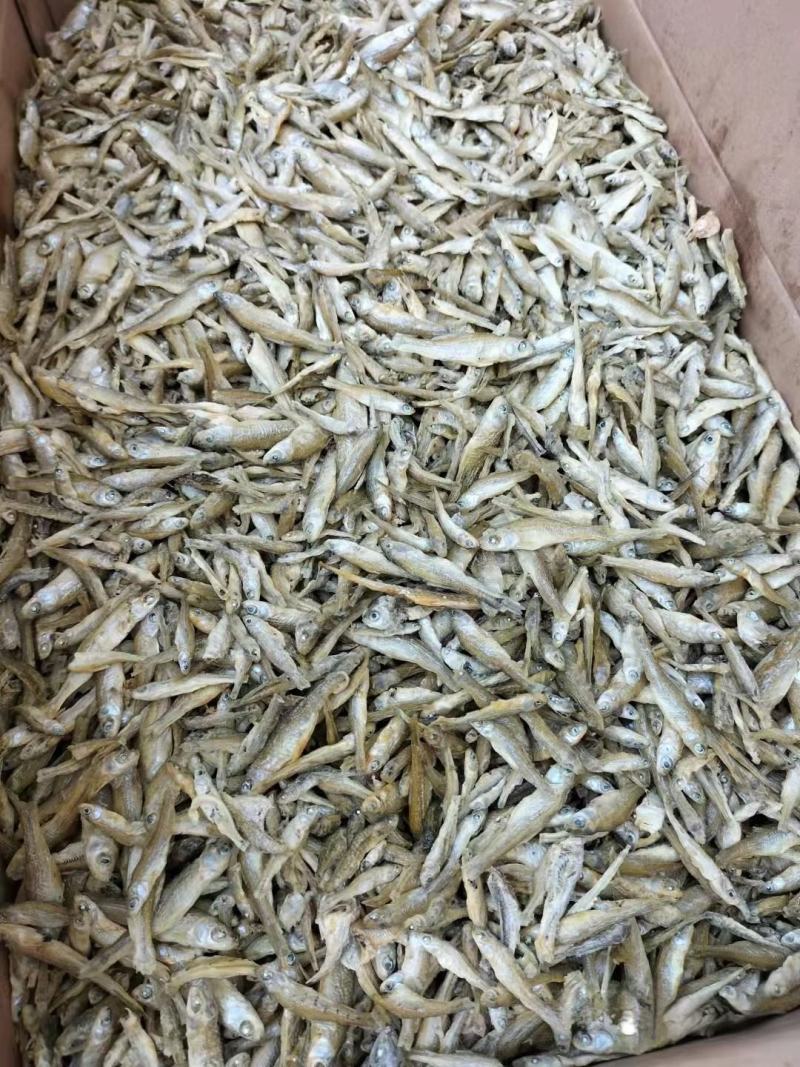 鱼干麦穗鱼干批发小鱼干小鱼仔东北水煮麦穗鱼干厂家