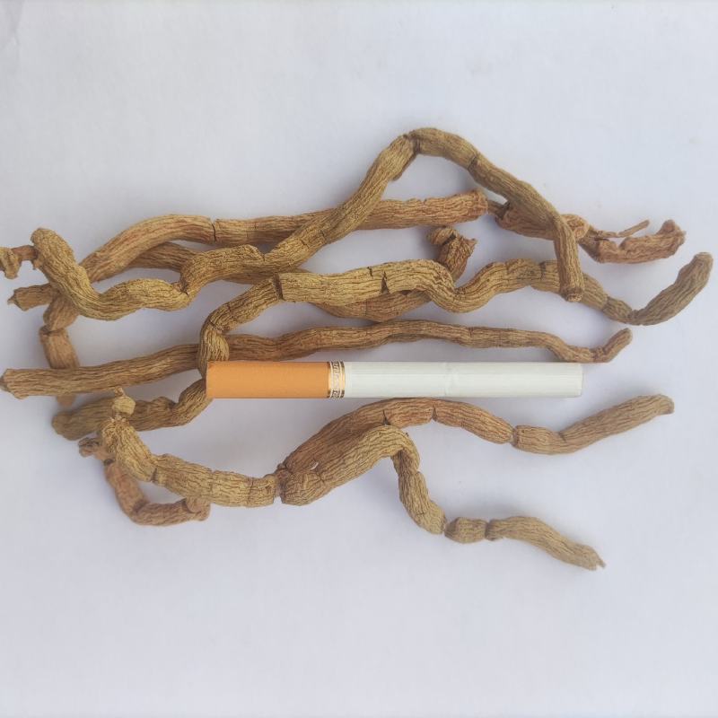 巴戟天批发三级头巴戟天货源稳定全年供货