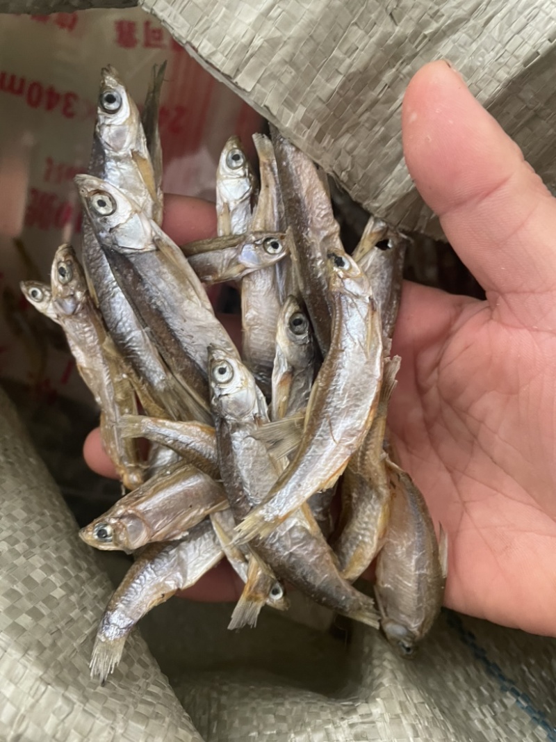 无盐鱼干宠物鱼干乌龟口粮猫粮饲料鱼