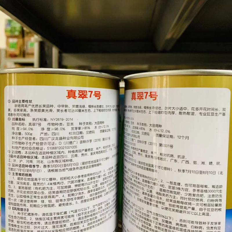 新培育高产长豇豆种子真翠7号荚长肉厚，翠绿长豆角种子春秋