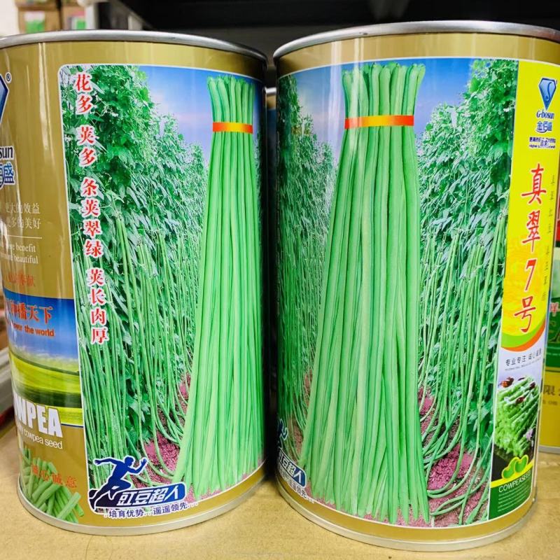 新培育高产长豇豆种子真翠7号荚长肉厚，翠绿长豆角种子春秋
