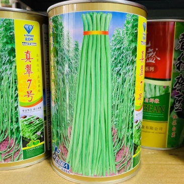新培育高产长豇豆种子真翠7号荚长肉厚，翠绿长豆角种子春秋
