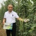 欧兰德荚多多2号豆角种子肉厚翠绿长豇豆种子荚条顺直三季