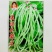 无架豆种子矮豇玉豆角种子无架豆角种子早熟高产春夏秋豆角