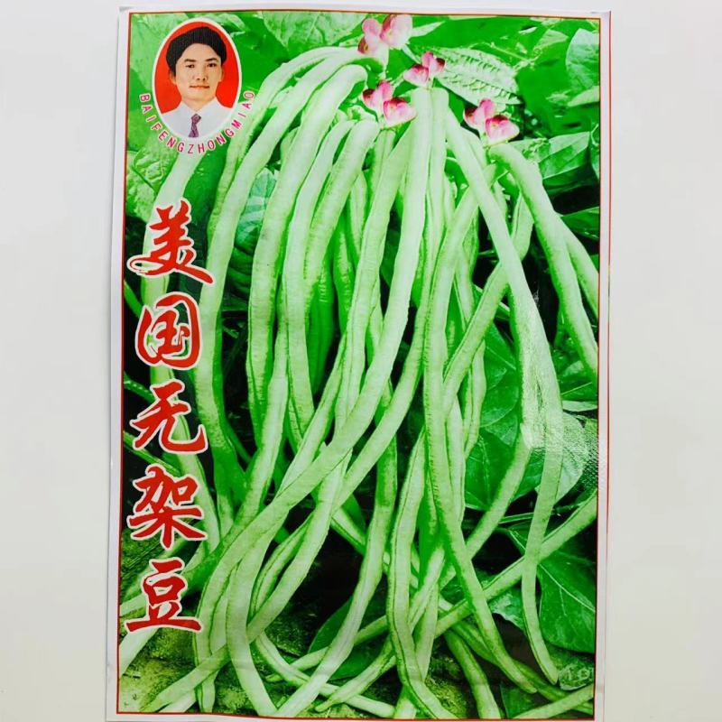 无架豆种子矮豇玉豆角种子无架豆角种子早熟高产春夏秋豆角