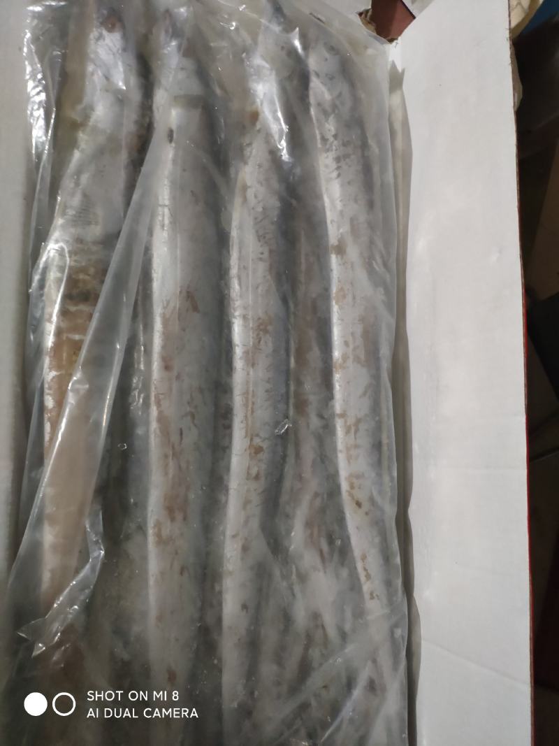 黄海带鱼大量上市了，刚下船的鲜带鱼，味道鲜美。