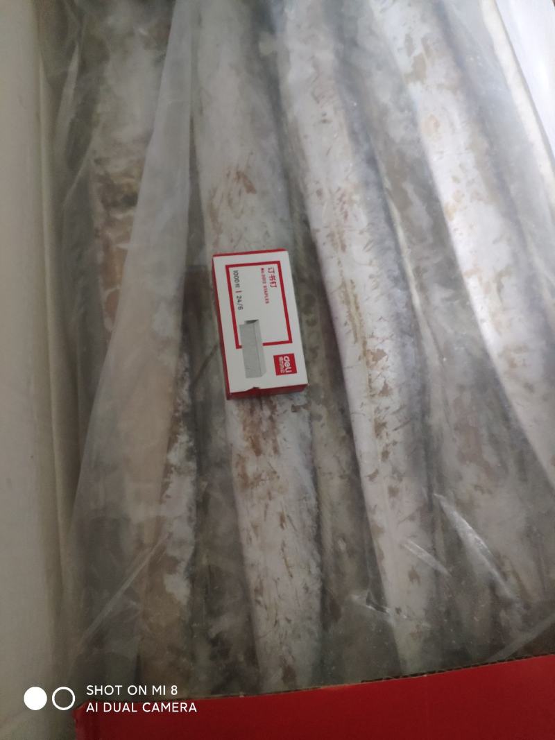 黄海带鱼大量上市了，刚下船的鲜带鱼，味道鲜美。