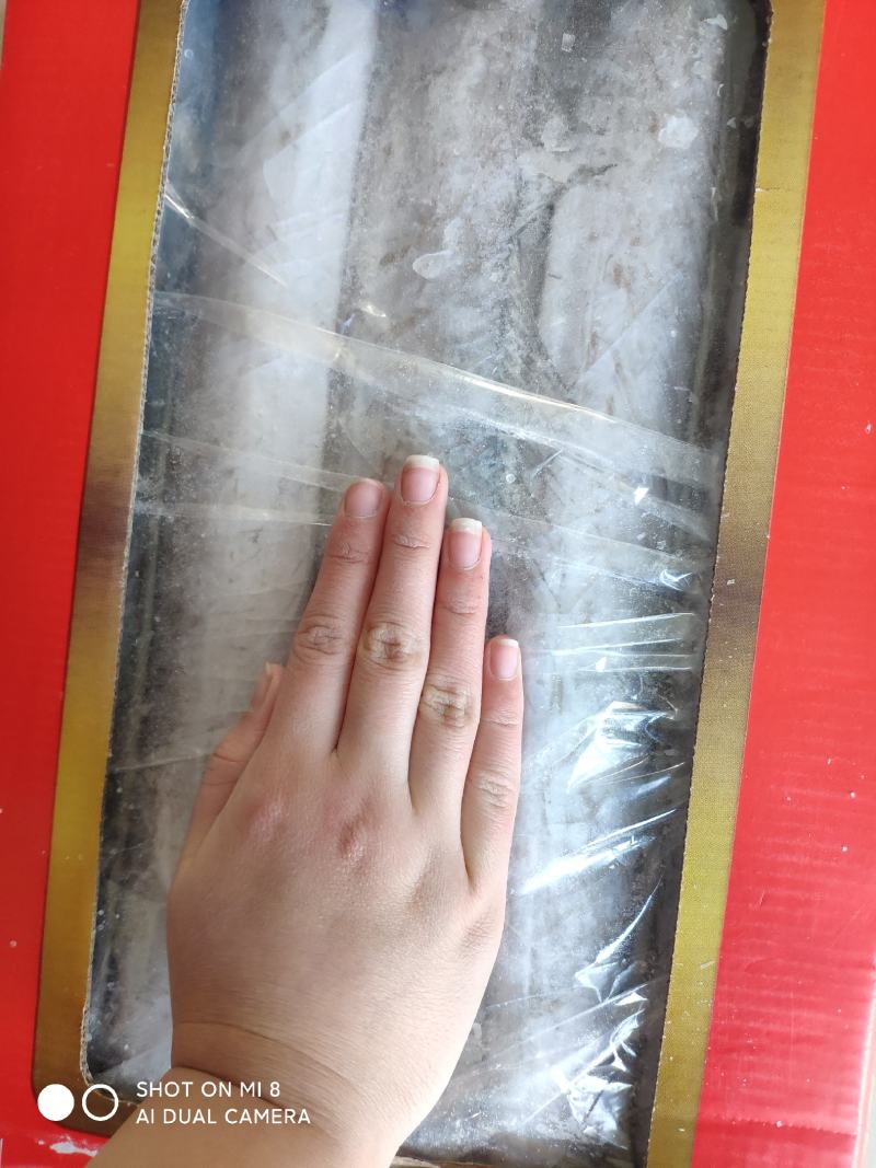 黄海带鱼大量上市了，刚下船的鲜带鱼，味道鲜美。