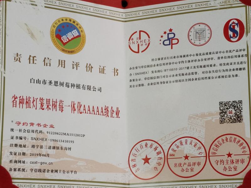 树莓苗，红树莓苗，黄树莓，黑树莓苗以上品种保证质量，纯度
