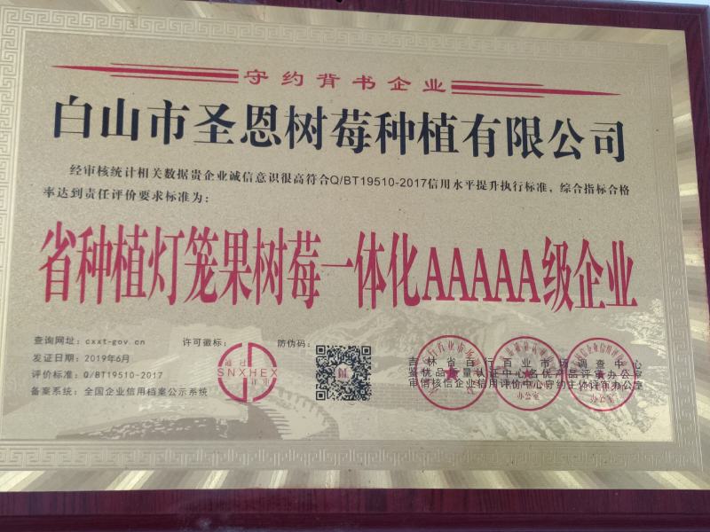 树莓苗，红树莓苗，黄树莓，黑树莓苗以上品种保证质量，纯度